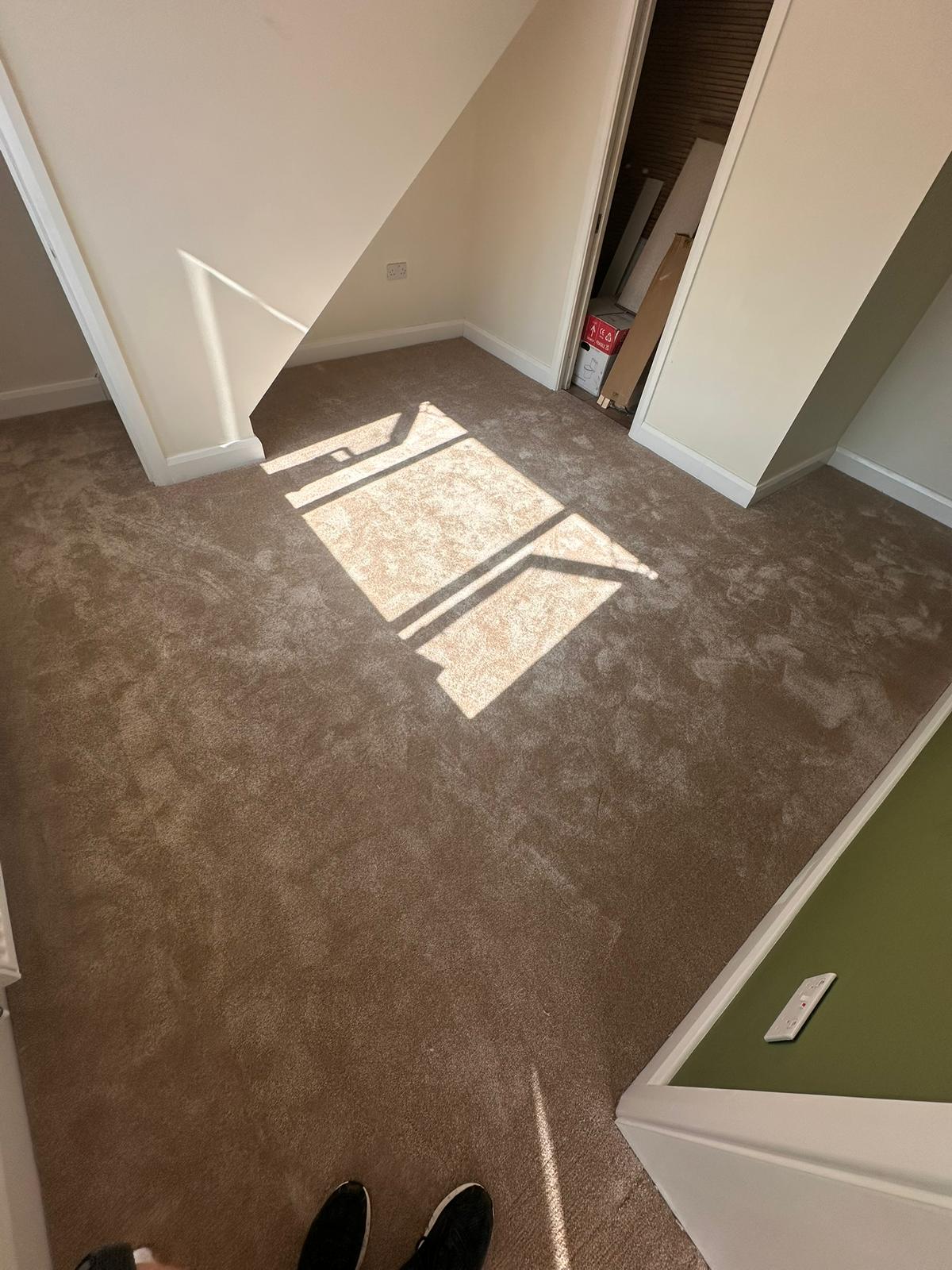 Basement Storage